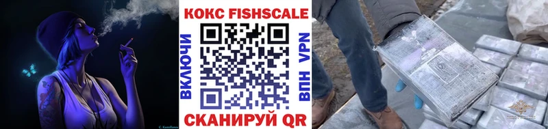 Кокаин FishScale  Купить  Спас-Деменск 