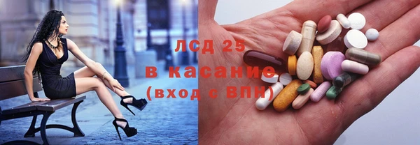 индика Козельск