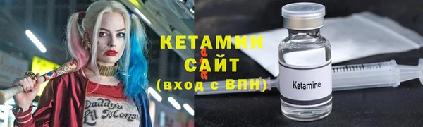 индика Козельск