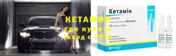 индика Козельск