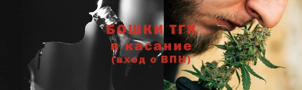 индика Козельск