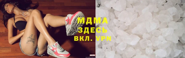 индика Козельск