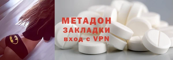 индика Козельск