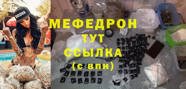 индика Козельск