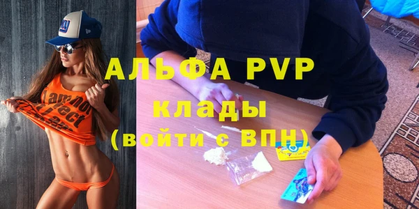 индика Козельск