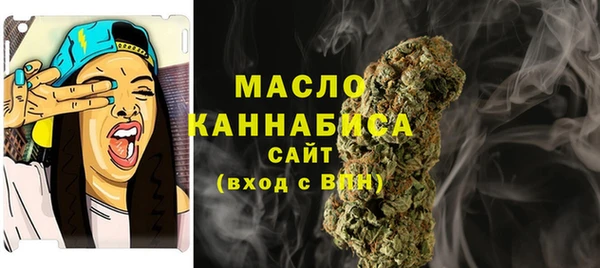 индика Козельск