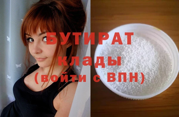 индика Козельск