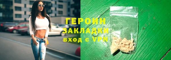 индика Козельск